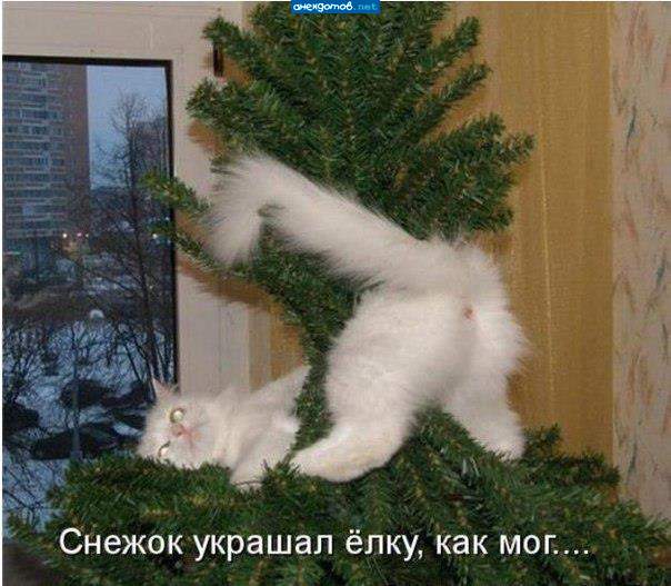 Здравствуй жопа Новый Год!