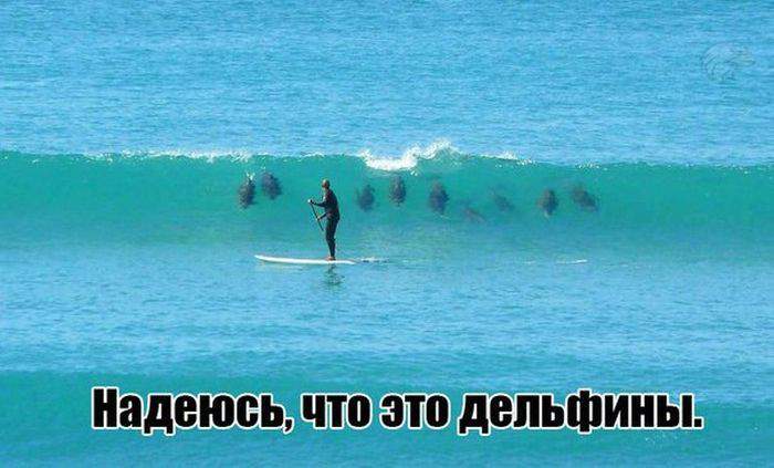 Девочки, чур мне ножку!