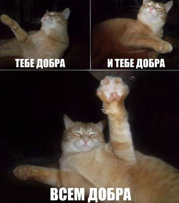 И тебе Бобра!