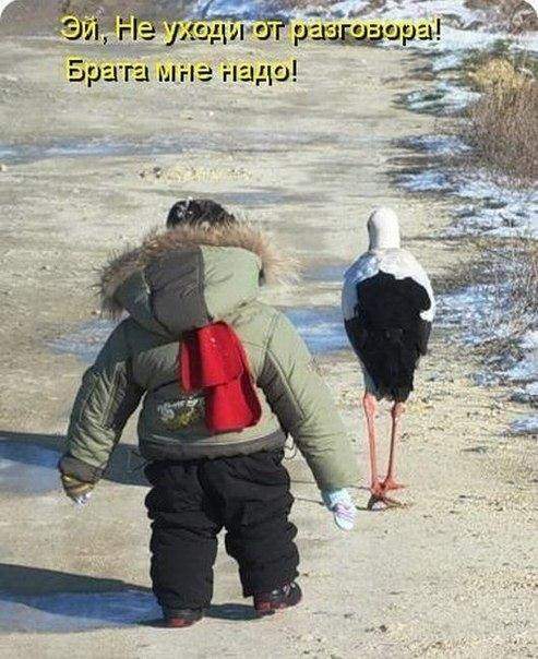Щас, до капусты дойдем...