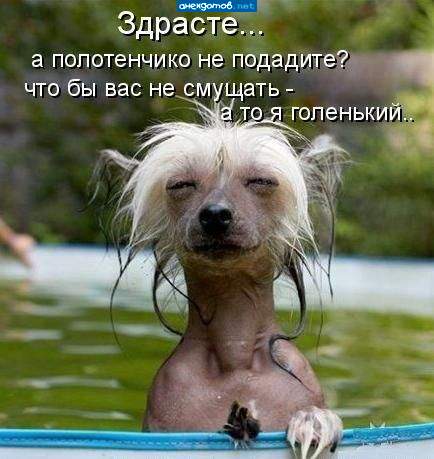 здрасте пишется как здрасЬте. что бы" пишется как "Чтобы"... Грамотеи нах...