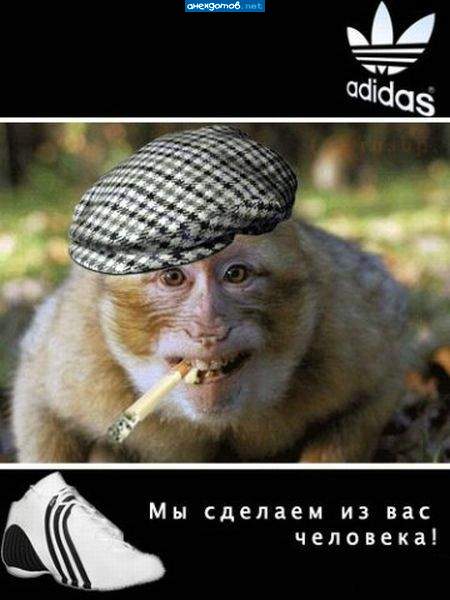 Оба -нна! Брат приехал!!
