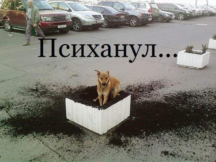 блин как сейчас помню кость сюда закопал