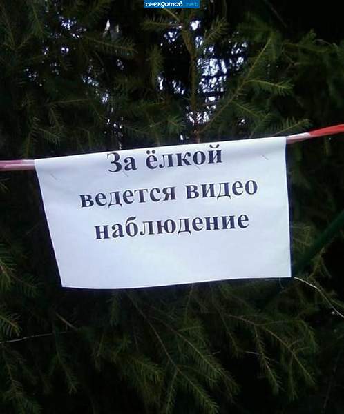 Не поливать! Не удобрять! Не пилить!