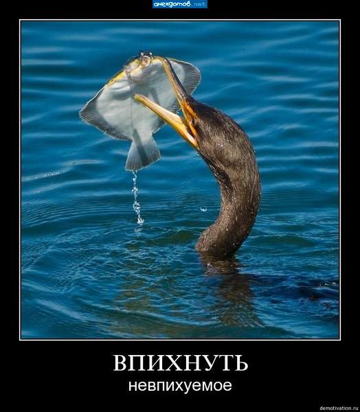 тогда соснуть несосуемое
