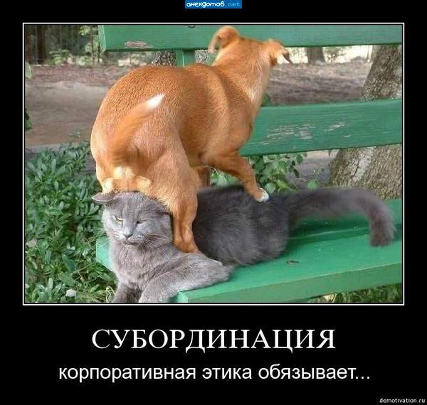 Считаю до трёх - и откусываю яйца!