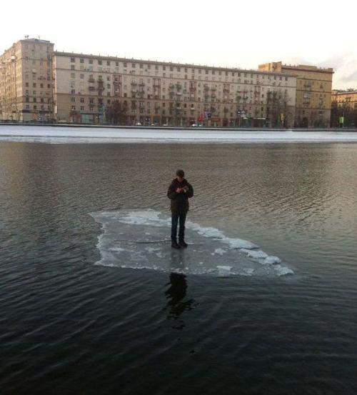 За мозгами поплыл