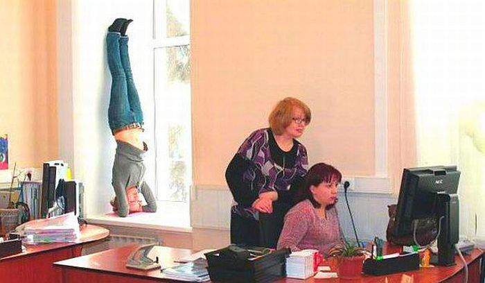 Это гендир. Она щас весь офис на подоконнике построит. Вверх ногами.