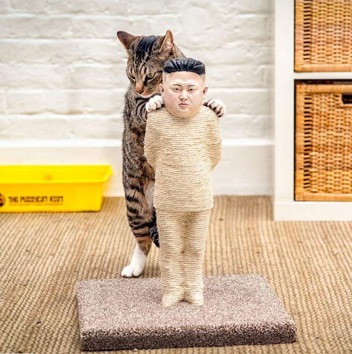 сторожевой кот Ким Чен Ына