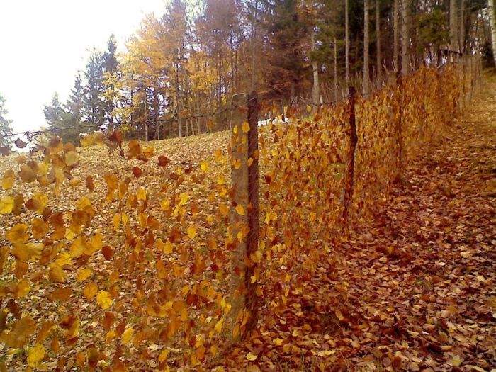 сетка-рабица...аж в глазах рябится...