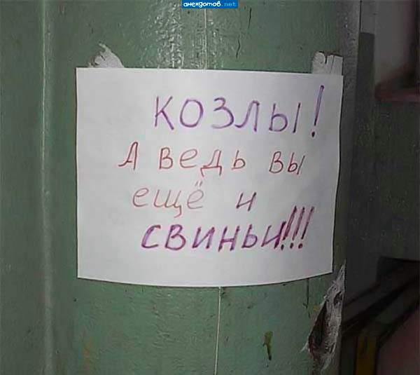 Ты кого козлом обозвал?