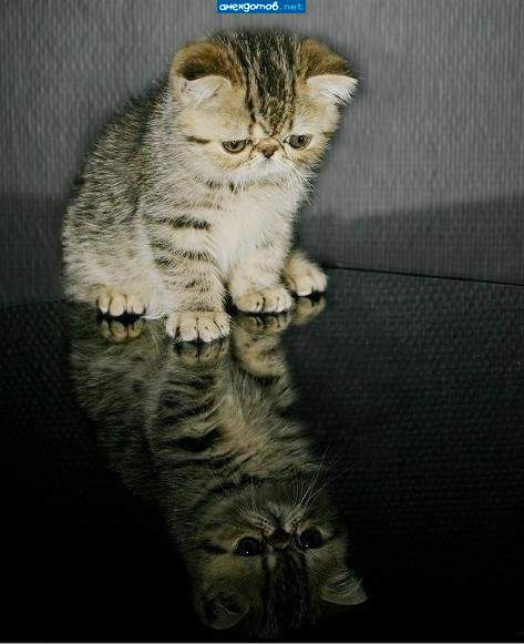 Кто я? Где я?
