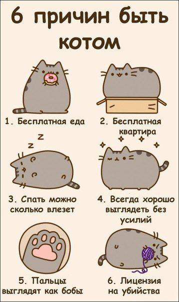 Ага, и халявная кастрация!