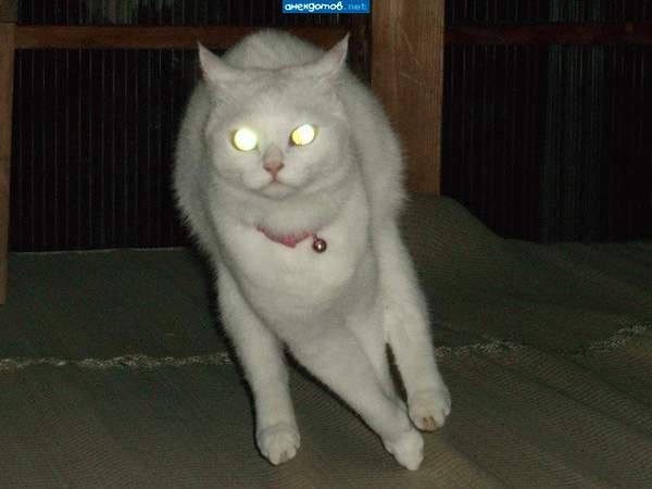 б%я, дальний выключи!!!