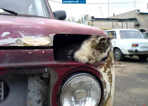 левый поворот включен!