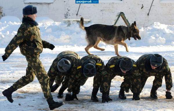 Кучето ги обучава. Без него нищо не могат да направят!!!