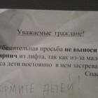 Нормальные дети без кирпича за пазухой из дома не выходят pic