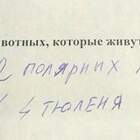 зачёт pic