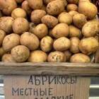 чую подвох... но так хочется абрикосов! pic