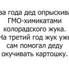 Генетически модифицированные химикаты - это последний писк науки!!! pic