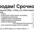 друг!!! я ОБМЕНЯЮ! на 2 свинушки, 1 груздь и подберёзовик... pic
