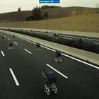 Отцы-невидимки, вывозят детей... pic