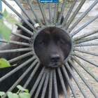 Ну просто АНГЕЛ!!! pic
