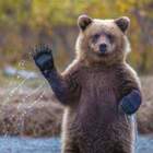 Привет, Обед! pic