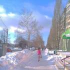 мини снега не боятся pic
