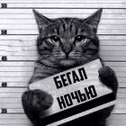 Хозяин -то у меня стукачок pic