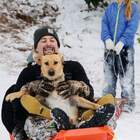 Хозяинннн, я в другом смысле ездовая собака!!! pic