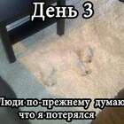Так вот где собака зарыта. pic