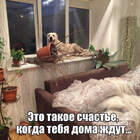 Фадеев.Разгром. pic
