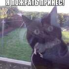 Кормилец. pic