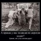 В нашем Простоквашено дороги такие, что уже ездовые академики встречаются pic