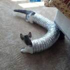 Котоудлиннитель pic