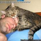 Вот лечу,опять у хозяина похмелье pic