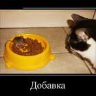 Фаршируется. pic