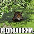 Купайтесь, крокодилов тут нет! - успокаивал гид pic