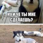 Преступление и наказание pic