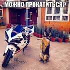 Это мне за выслугу лет подарили pic