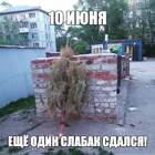 Можно было уже и оставить... pic