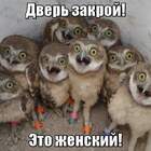 Это антисемитизм!!! pic