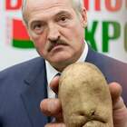 В Бэларусии даже бульба в Батьку :-)) pic