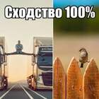 Ван Дамм не воробей. Вылетит - не поймаешь. pic