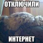 Внуки уехали... pic