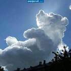 Я тучка-тучка-тучка, я вовсе не медведь... pic