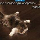 ну, кто нибудь! допните до миски!!!!!!!! pic
