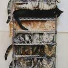 Котэ.rar pic