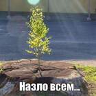 "смена поколений"
